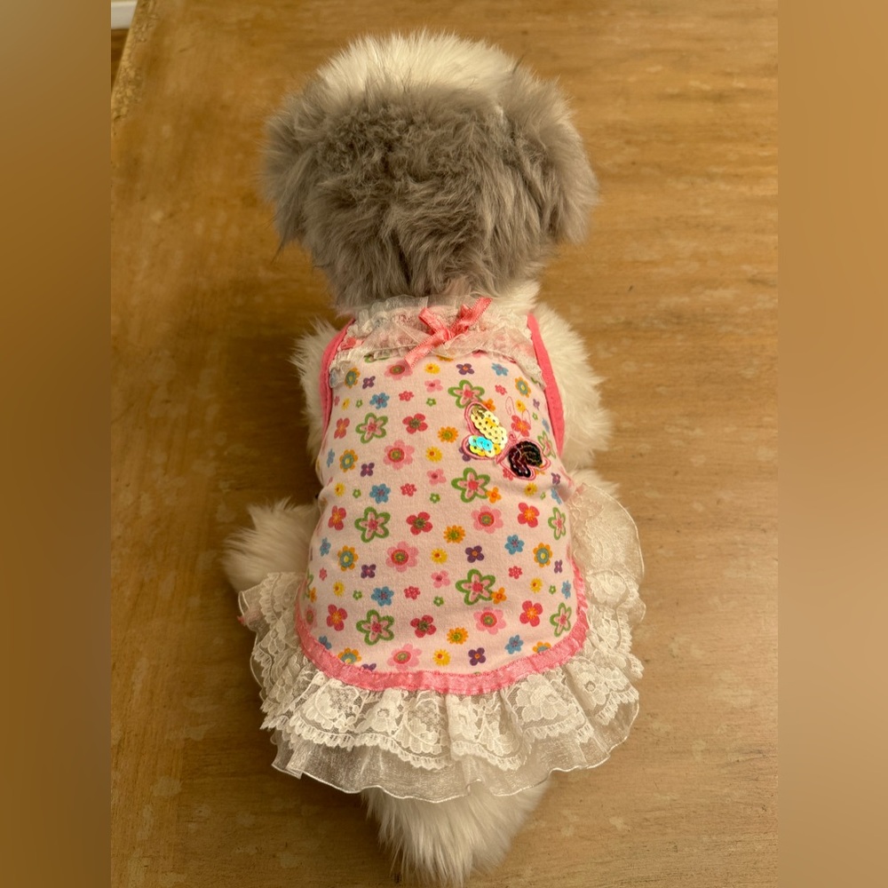 Puppia pink floral tank dress